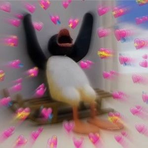 Meet your Posher, Celeste